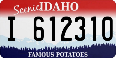 ID license plate I612310