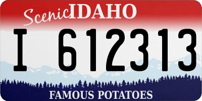 ID license plate I612313