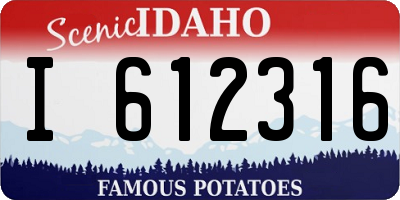 ID license plate I612316