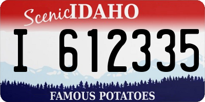 ID license plate I612335