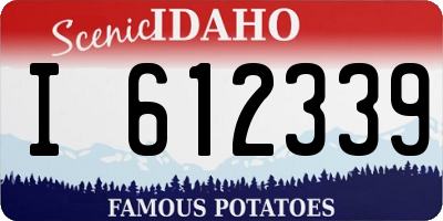 ID license plate I612339
