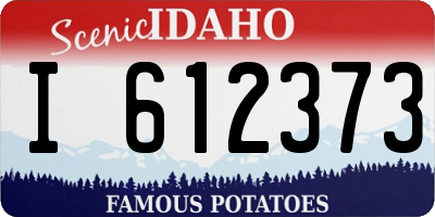 ID license plate I612373