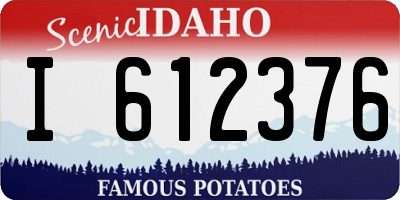 ID license plate I612376