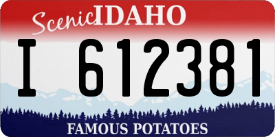 ID license plate I612381