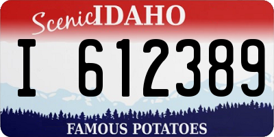ID license plate I612389