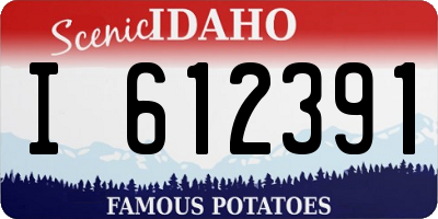 ID license plate I612391