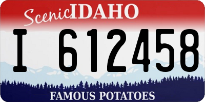 ID license plate I612458