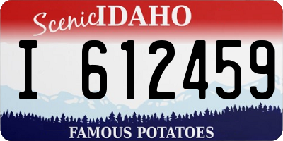 ID license plate I612459
