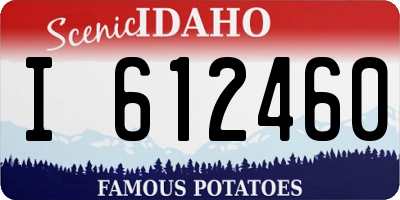 ID license plate I612460