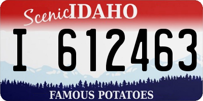ID license plate I612463