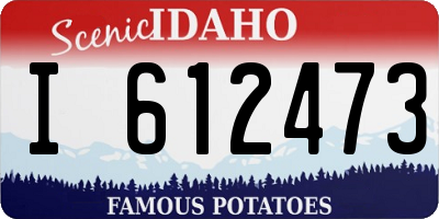 ID license plate I612473