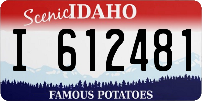 ID license plate I612481