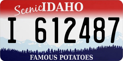 ID license plate I612487