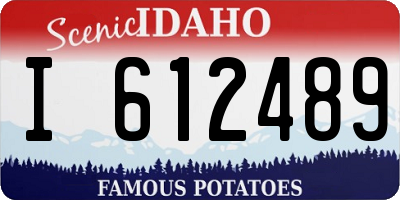 ID license plate I612489