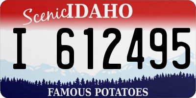 ID license plate I612495