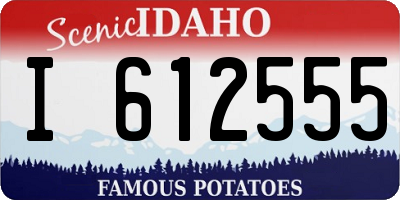 ID license plate I612555