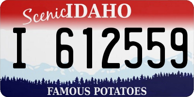 ID license plate I612559