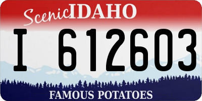 ID license plate I612603