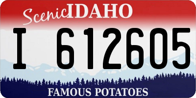 ID license plate I612605