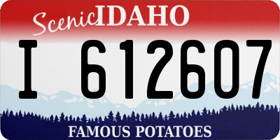 ID license plate I612607