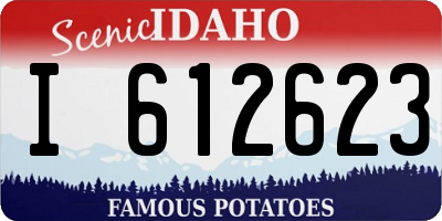 ID license plate I612623