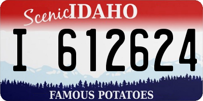 ID license plate I612624