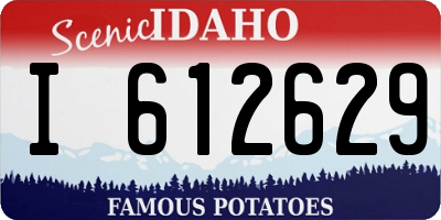 ID license plate I612629