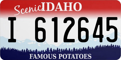 ID license plate I612645