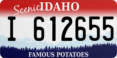 ID license plate I612655
