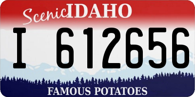 ID license plate I612656
