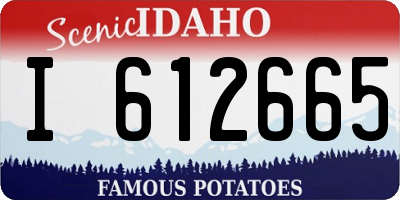 ID license plate I612665