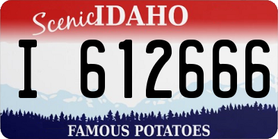 ID license plate I612666