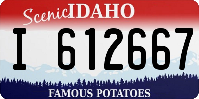 ID license plate I612667