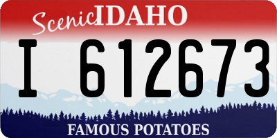 ID license plate I612673
