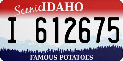 ID license plate I612675