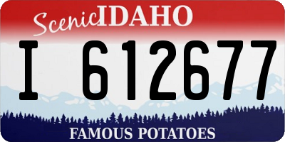 ID license plate I612677
