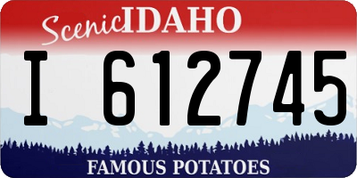 ID license plate I612745