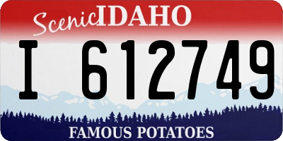 ID license plate I612749