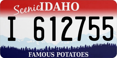 ID license plate I612755