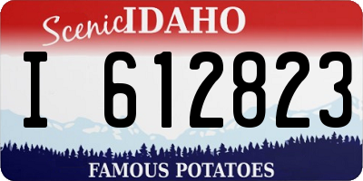 ID license plate I612823