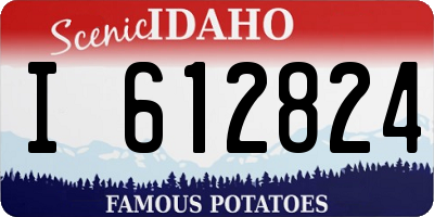 ID license plate I612824