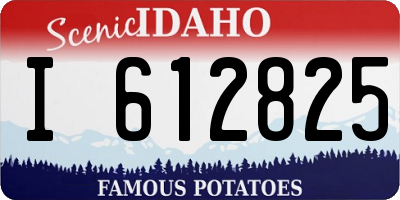 ID license plate I612825