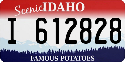 ID license plate I612828