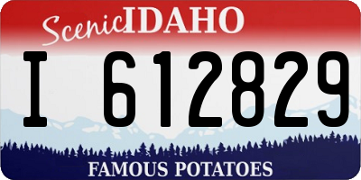 ID license plate I612829