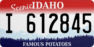 ID license plate I612845