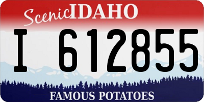 ID license plate I612855