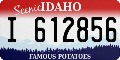 ID license plate I612856