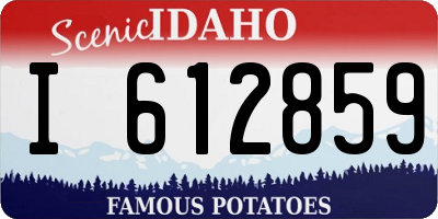 ID license plate I612859