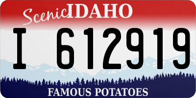 ID license plate I612919