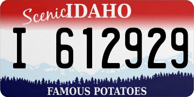 ID license plate I612929